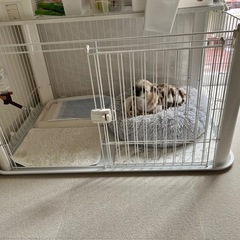 ペットケージ ペットサークル 犬ケージの画像