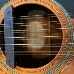 YAMAHA FG460S-12A 12弦　FISHMANピックアップ付の画像