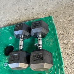 ヘックスラバーダンベル15kg２個の画像