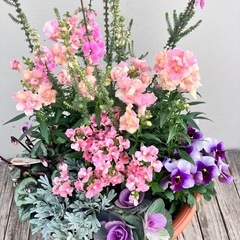 寄せ植えの画像