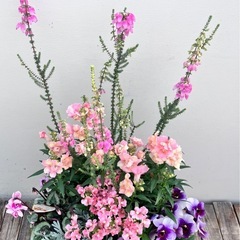 寄せ植えの画像