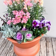 寄せ植えの画像