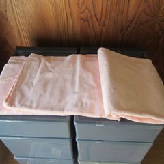 未使用　冬用シーツ（ピンク）　シングル サイズ　タグ付き　少々難あり　【ペットはいません】の画像