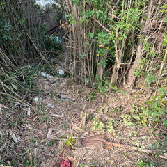 №C-d659【千葉県匝瑳市平木】土地(分譲地／雑種地)２筆あげます！