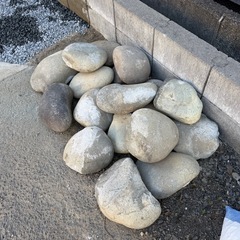 庭石/丸石/石/ガーデニング/四日市市/0円/引き取り限定の画像