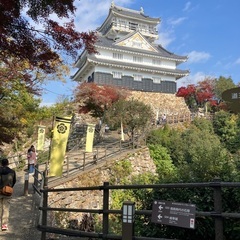 毎週日曜日朝6時半に金華山頂上でラジオ体操