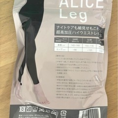 アリスレッグ　ハードの画像
