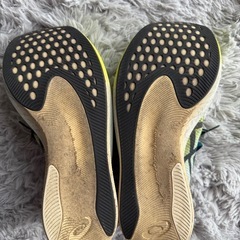 アシックス メタスピードスカイ　28cmの画像