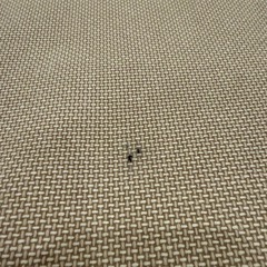 IKEAソファーの画像