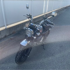 HONDA モンキー125  美品
の画像