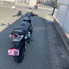 HONDA モンキー125  美品
の画像