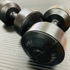 トレーニング セット ダンベル エクササイズローラー リーボック｜Reebok トレーニングマット  の画像