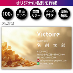 名刺印刷 100枚 両面 フルカラー 紙ケース付 No.2…