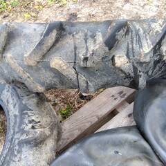 トラクター前輪 タイヤ＆チューブ ジャンク 引取り限定の画像