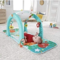 フィッシャープライス　4wayオーシャンへんしんジムの画像