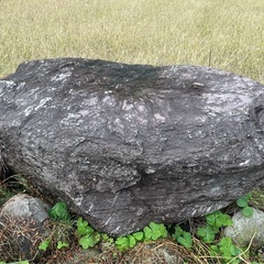 庭石　処分したいの画像