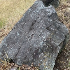 庭石　処分したいの画像