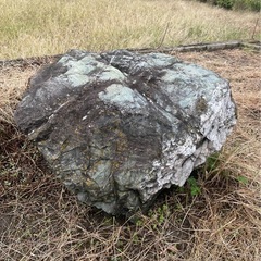 庭石　処分したいの画像