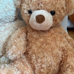 美品 かわいい テディベア くま ぬいぐるみ　セットの画像
