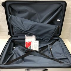 ACE EXACT エース イグザクト プリズム ボディ スーツケース 78-94L シルバーの画像