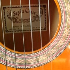 クラシックギター‼️の画像