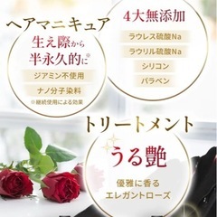 受付終了)未開封・新品！カラーリングシャンプー3個セット　ダークブラウンの画像