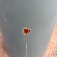 【交渉中】スチール板の画像