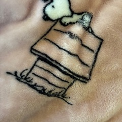 SNOOPY薄い毛布 サイズ大きいの画像