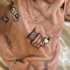 SNOOPY薄い毛布 サイズ大きいの画像