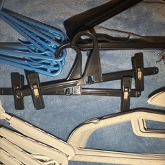 ニトリ ハンガー 大量 44本セットの画像