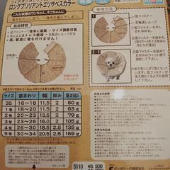 【中古】エリザベスカラーの画像