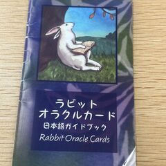 ラビット　オラクル　デラックスエディション　日本語解説書付き　　S_349の画像