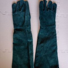 グローブ　動物　ペット　噛みつき防止　の画像