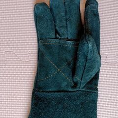 グローブ　動物　ペット　噛みつき防止　の画像