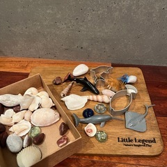 Little Legend Ocean Life セット 粘土欠品
の画像