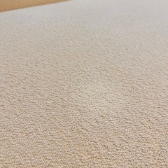 Francfranc メーネソファ　カウチ フランフラン ブークレの画像