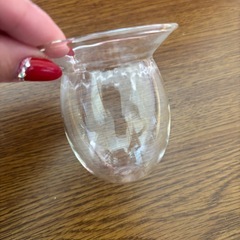 観葉植物 花器 鉢の画像