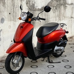 大人気セール‼️安心のバッテリー充電済み🔋リアタイヤ新品✨️リアブレーキシュー新品✨️嬉しいオイル交換済み♻️燃費重視&バイク初心者の方にオススメ🔰ラクラク始動のインジェクション💥AF67 トゥデイ✴の画像