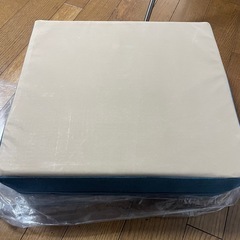 Hop Stepper Cushion トランポリンクッションの画像