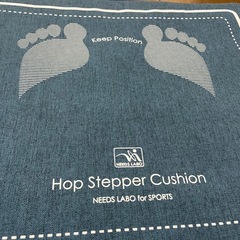 Hop Stepper Cushion トランポリンクッションの画像