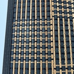 ゴザ　マットの画像