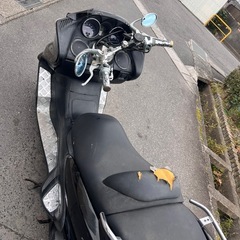 ❗️SALE❗️グランドマジェスティ250　実働　SG15J 未走行15.000km 滋賀県の画像