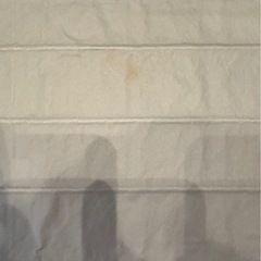 電気カーペットの画像