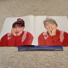 渡辺満里奈  LPレコードの画像