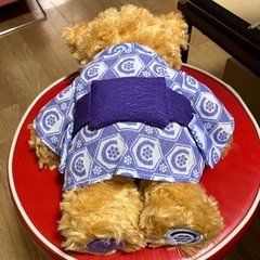 新品未使用　浴衣姿　テディベア　の画像