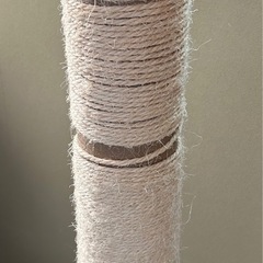 申し込み内容のある方の中から決定いたしましたの画像