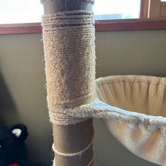 申し込み内容のある方の中から決定いたしましたの画像