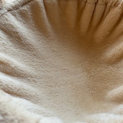 申し込み内容のある方の中から決定いたしましたの画像