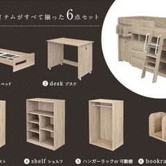 🛏️システムベッド　テイル🛏️の画像