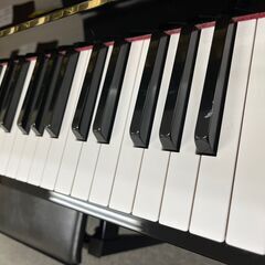 YAMAHA  DUP-20　電子ピアノ【木製鍵盤】の画像